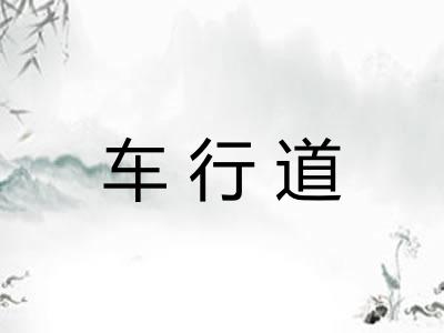 车行道