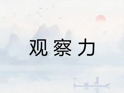 观察力