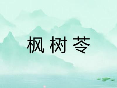 枫树苓