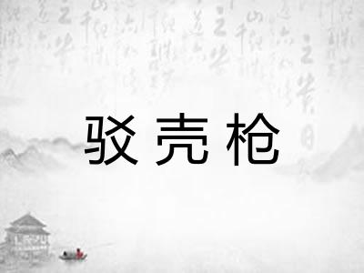 驳壳枪