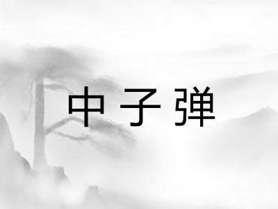 中子弹