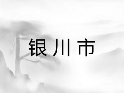 银川市
