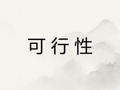 可行性 可行性