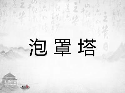 泡罩塔