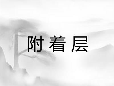附着层