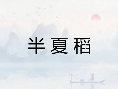 半夏稻