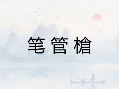 笔管槍