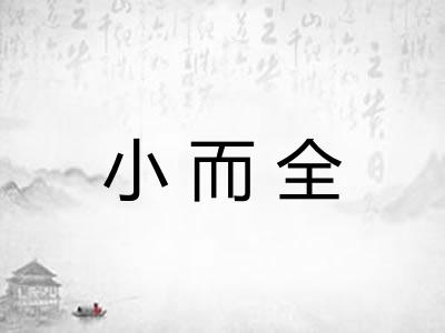 小而全
