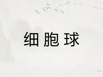 细胞球