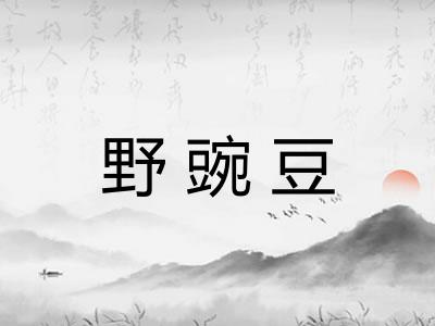 野豌豆