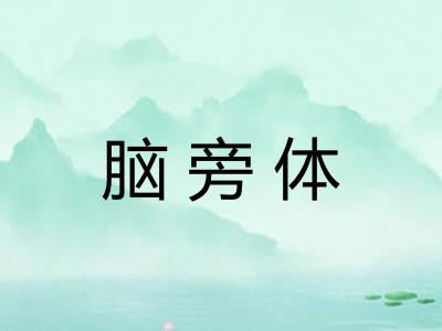 脑旁体
