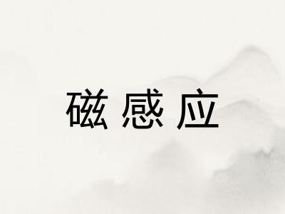 磁感应