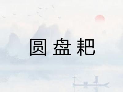 圆盘耙