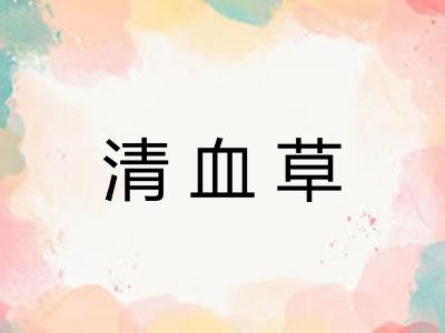 清血草 清血草