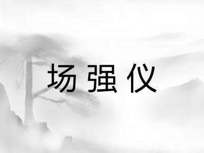 场强仪