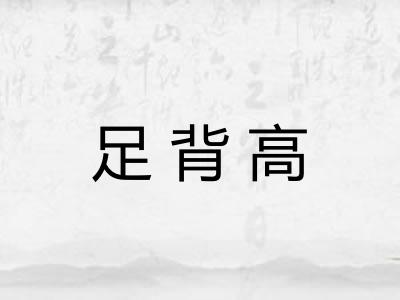 足背高