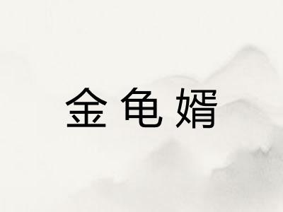 金龟婿