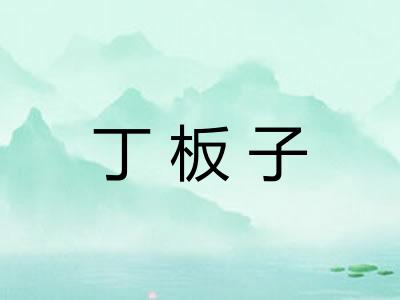 丁板子