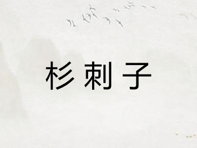 杉刺子
