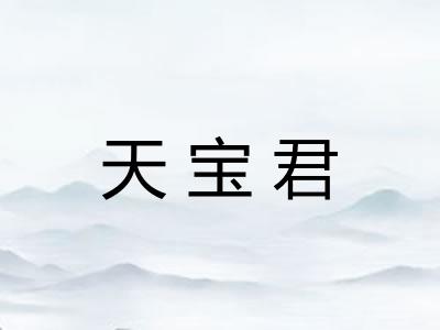 天宝君