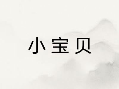 小宝贝
