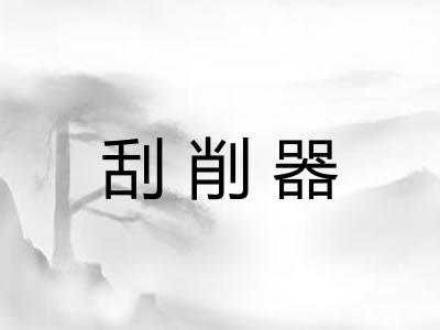 刮削器