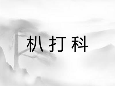 朳打科
