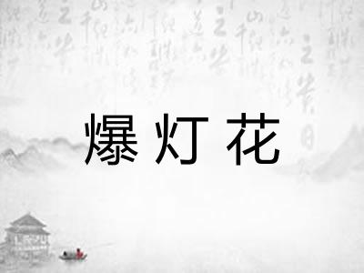 爆灯花 爆灯花