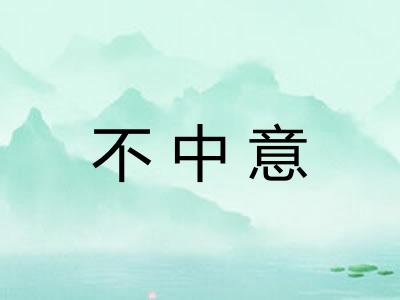 不中意