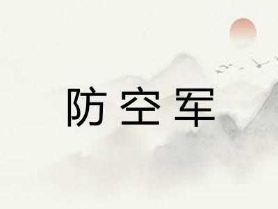 防空军 防空军