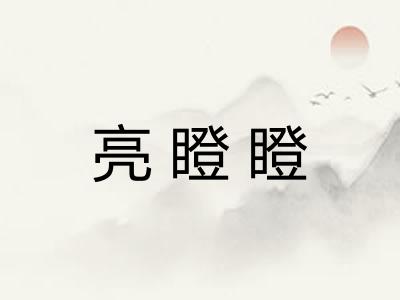亮瞪瞪
