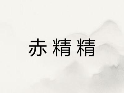 赤精精