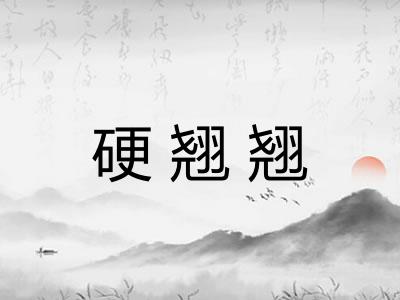 硬翘翘