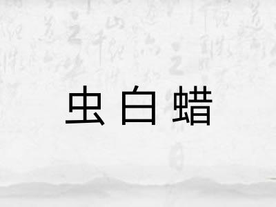 虫白蜡