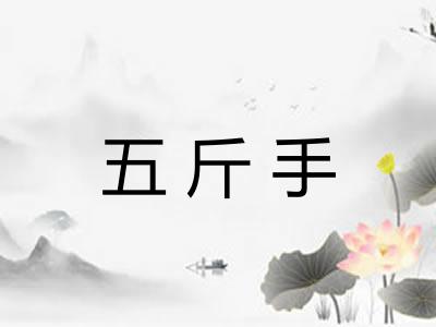 五斤手