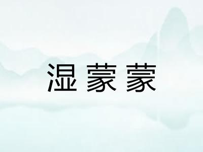 湿蒙蒙