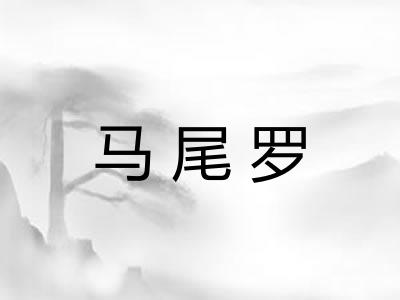 马尾罗
