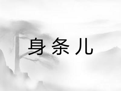 身条儿