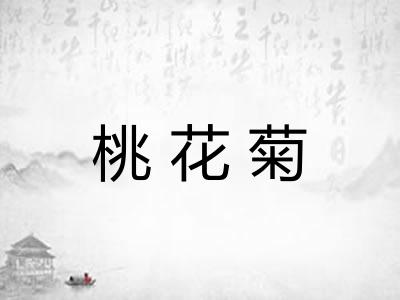 桃花菊