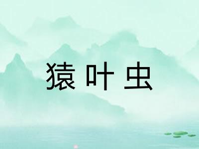 猿叶虫