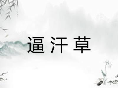 逼汗草