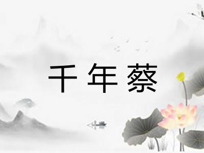 千年蔡
