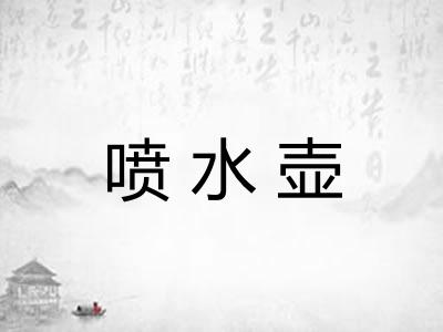 喷水壶