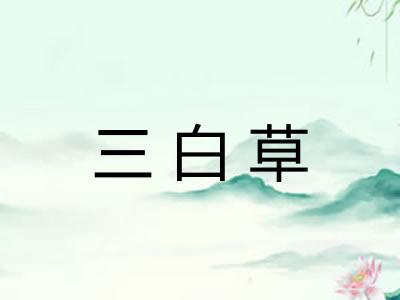 三白草