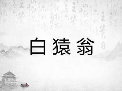 白猿翁