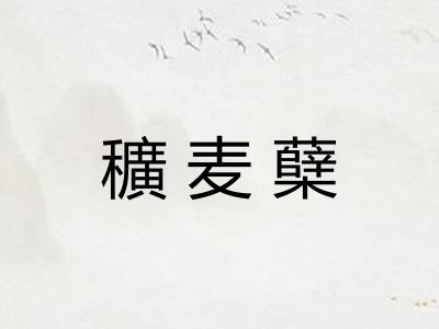 穬麦蘖