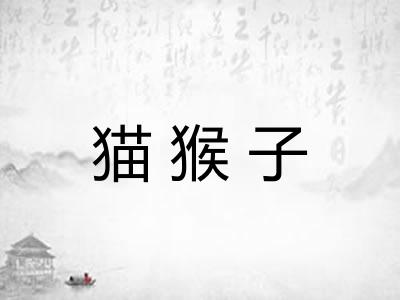 猫猴子