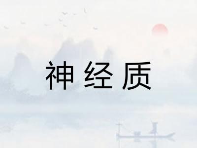 神经质 神经质