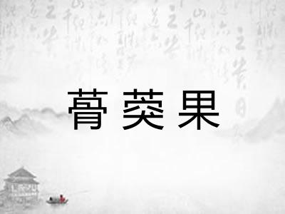 蓇葖果