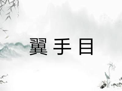 翼手目